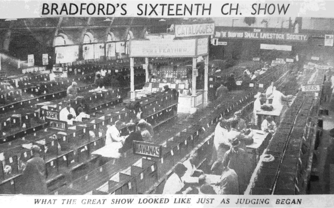 Bradford Championship Shows of The Past