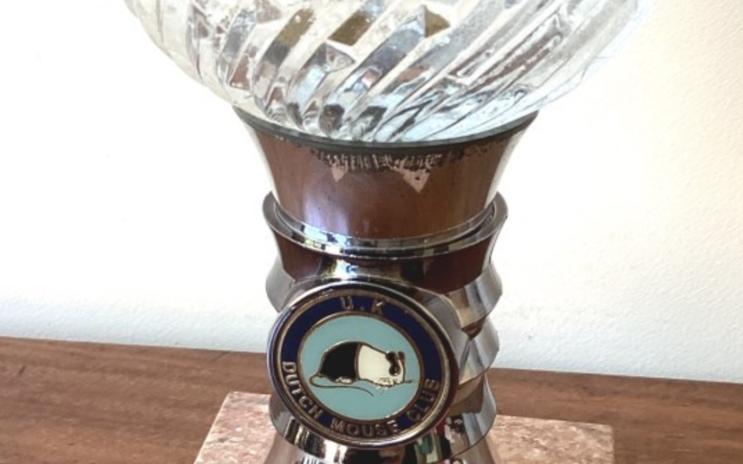 Trophy of the Month – The Crystal Cup